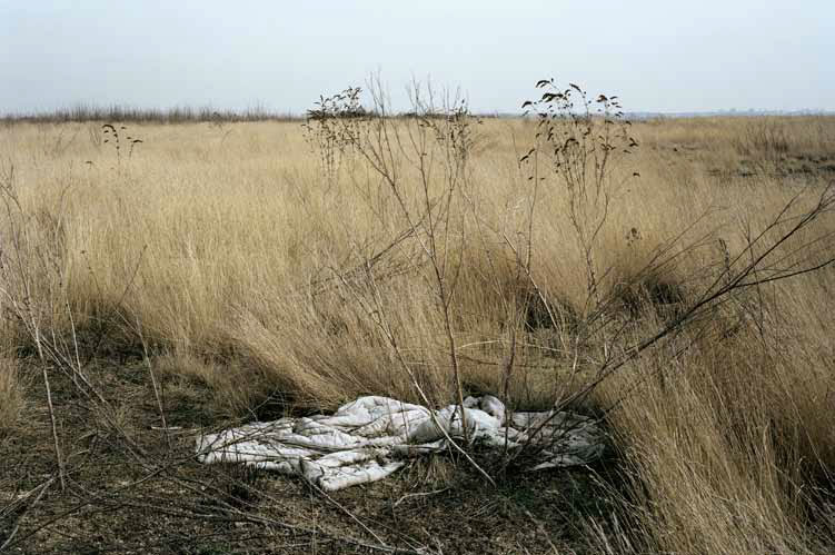 Botanic © Benoît Fougeirol