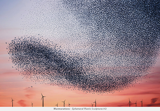 Exposition Murmurations d’Alain Delorme à Monaco