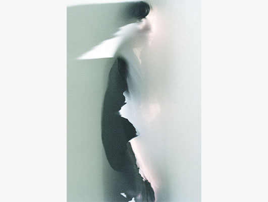 Sophie Elbaz expose « à fleur de peau » à la Galerie 5 Contemporary