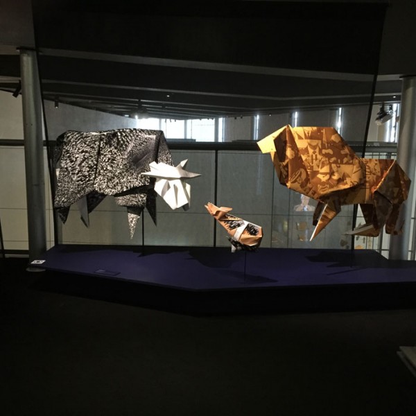 Origamis de Nabil Boutros